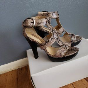 Tan & Black Snakeskin Shoe